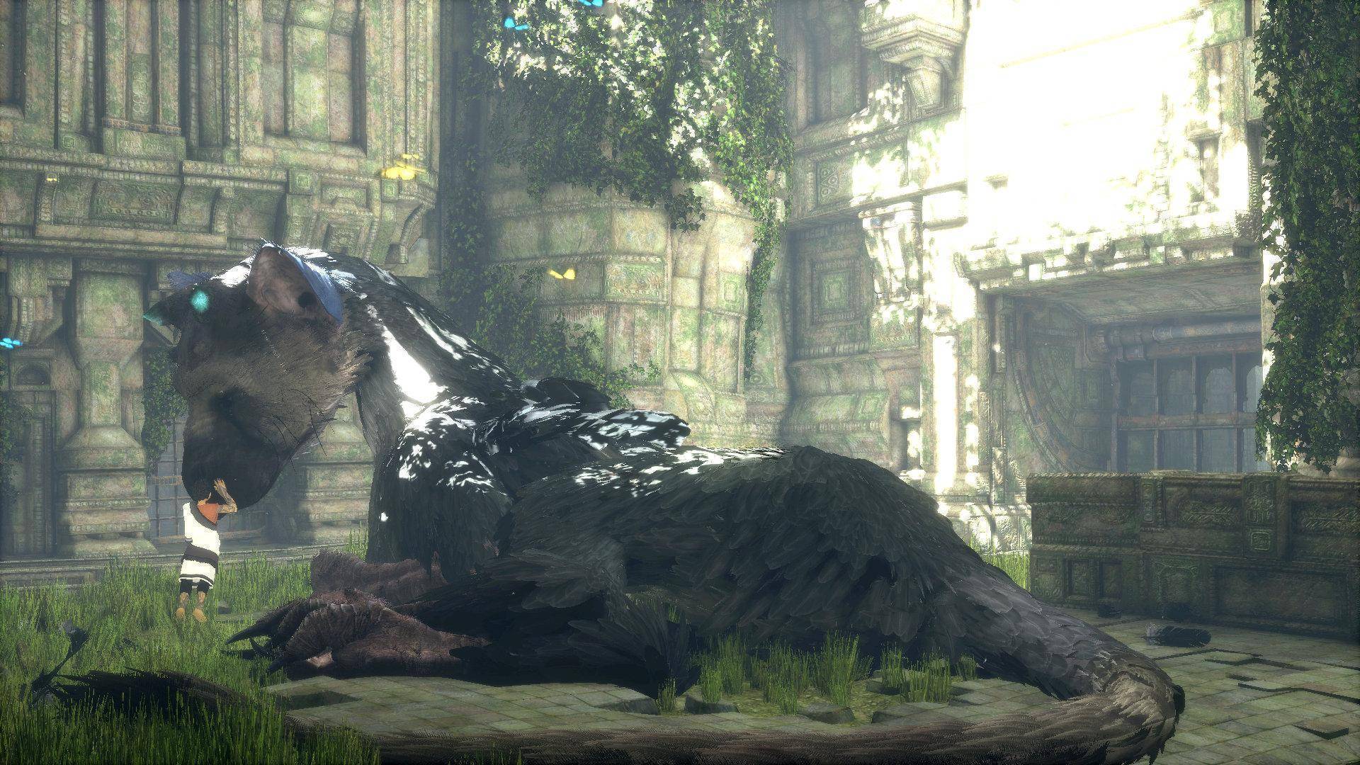 the last guardian ps4