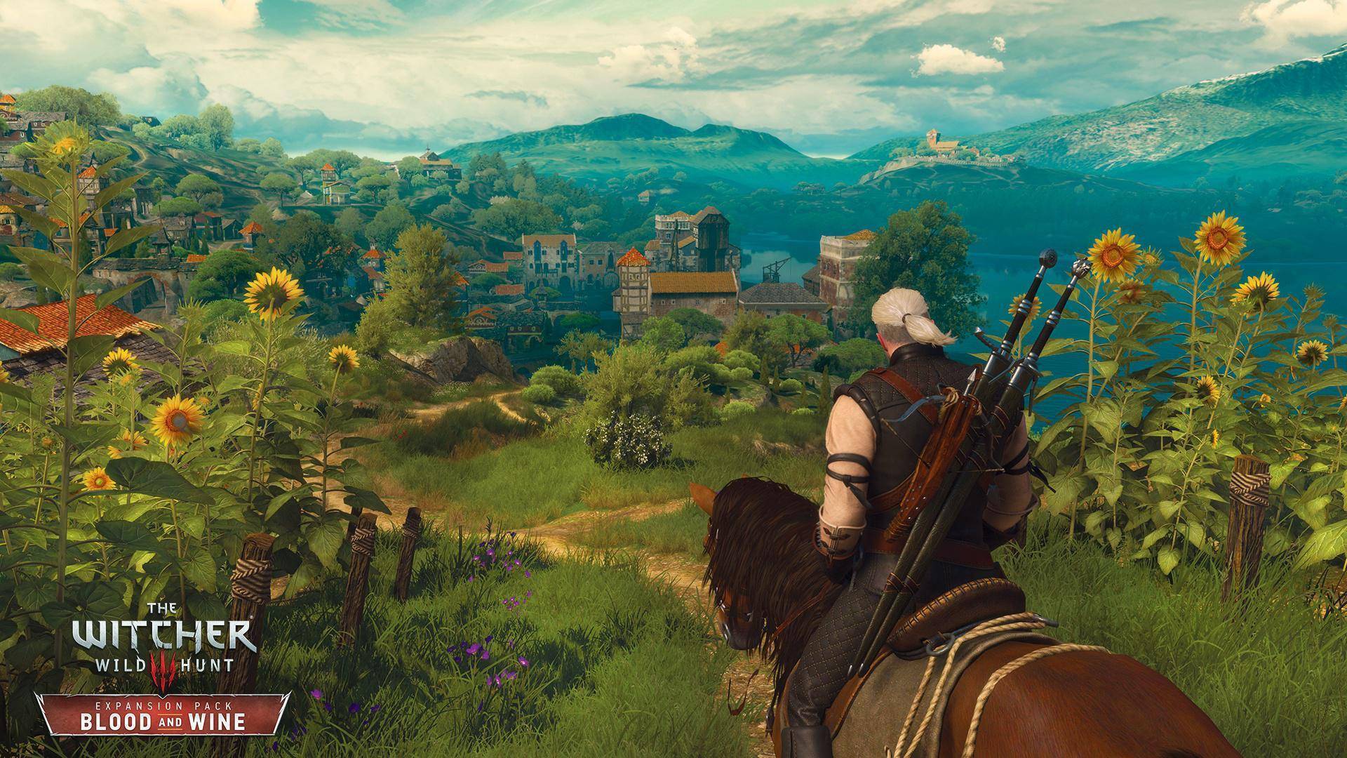 Witcher 3 Wild Hunt Vs Game Of The Year Edition