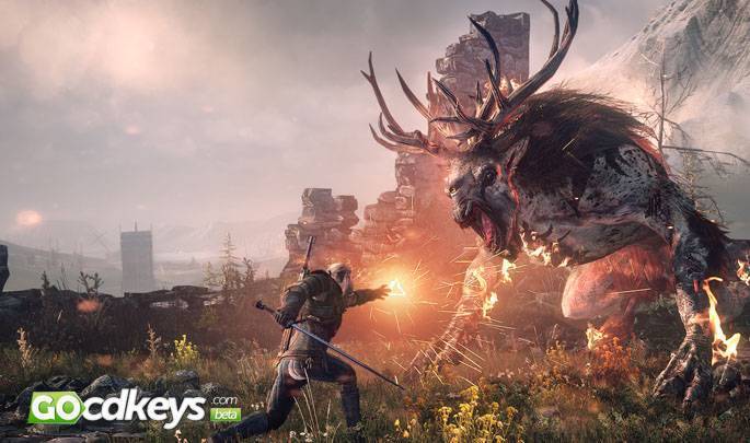 the witcher 3 wild hunt pc key