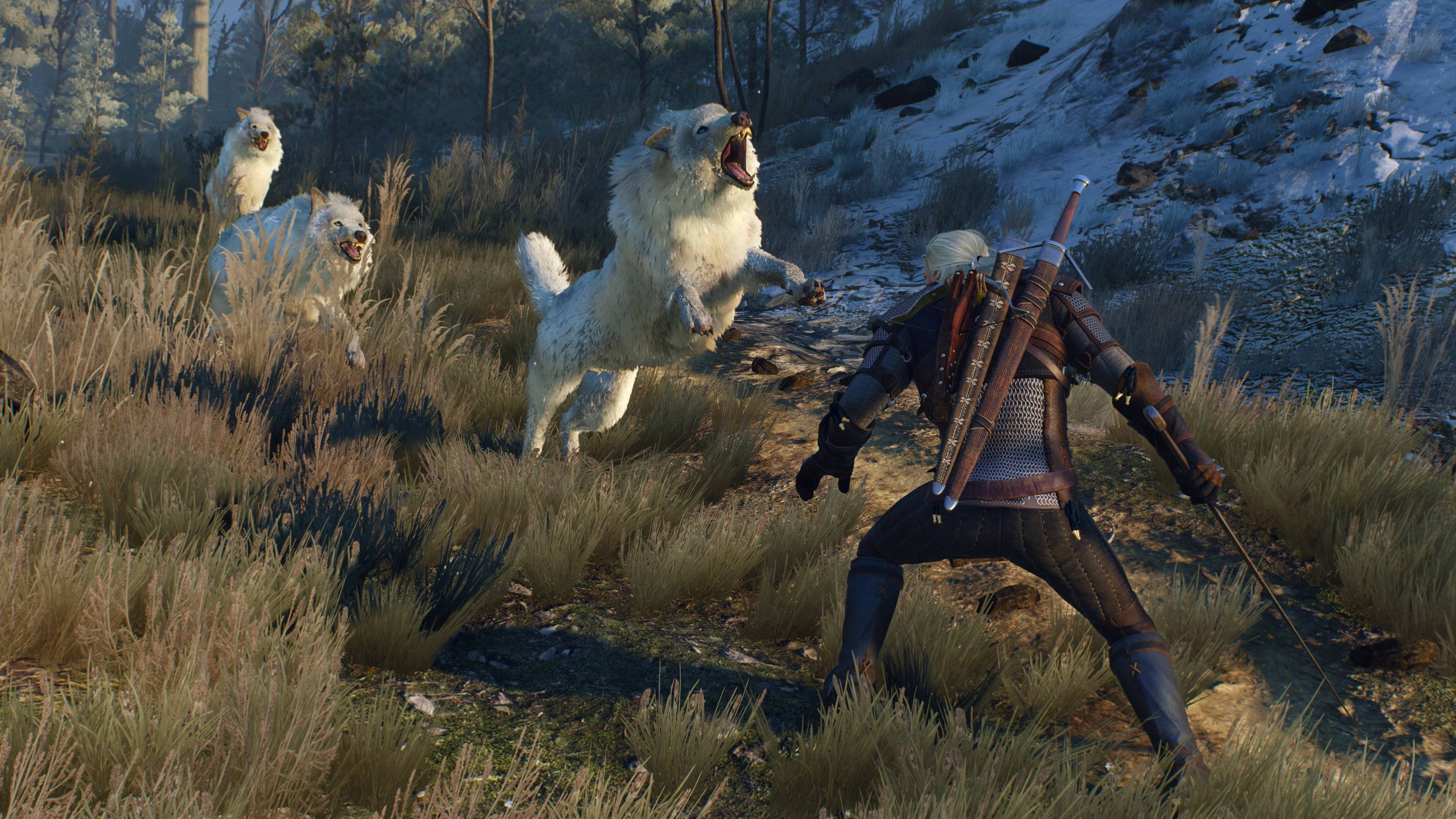 PS4 - THE WITCHER 3: WILD HUNT