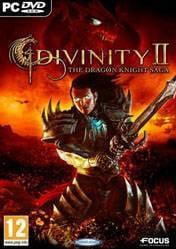 Divinity II: The Dragon Knight Saga 