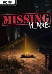 Missing Plane Survival