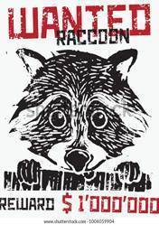 Wanted Raccoon