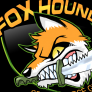 foxhounddutch